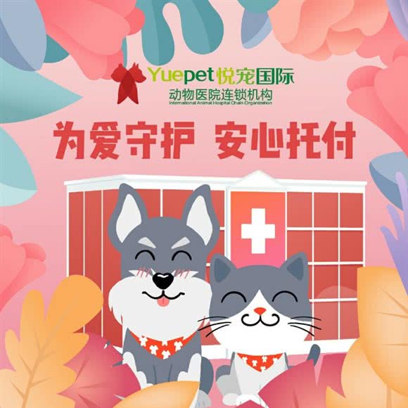 悦宠国际动物诊所(太阳宫店):北京城区朝阳区太阳宫附近