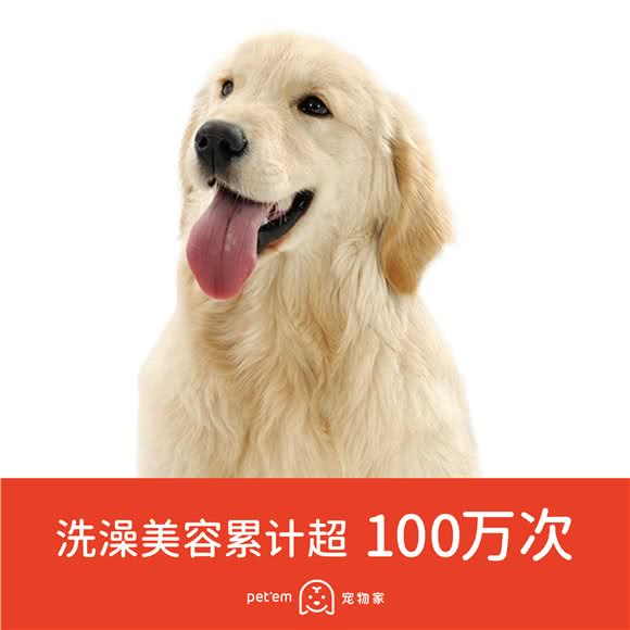 宠物家(水围店):深圳市福田区皇岗/水围附近