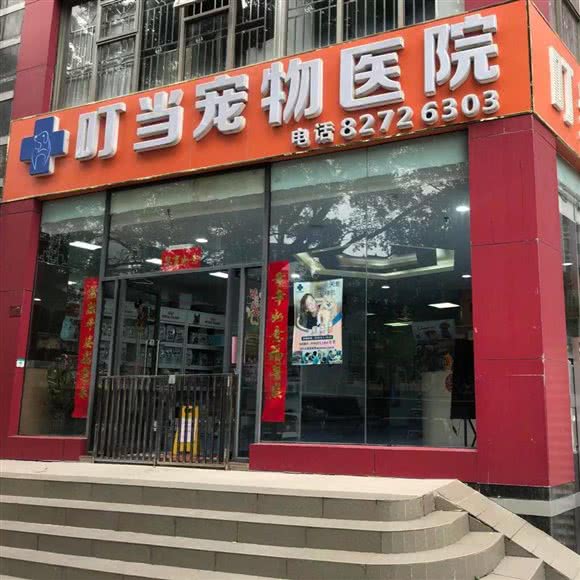 叮当宠物医院:深圳市福田区皇岗/水围附近