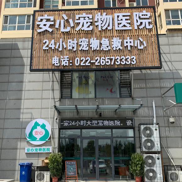安心宠物医院:天津城区北辰区西横堤/瑞景新天地附近