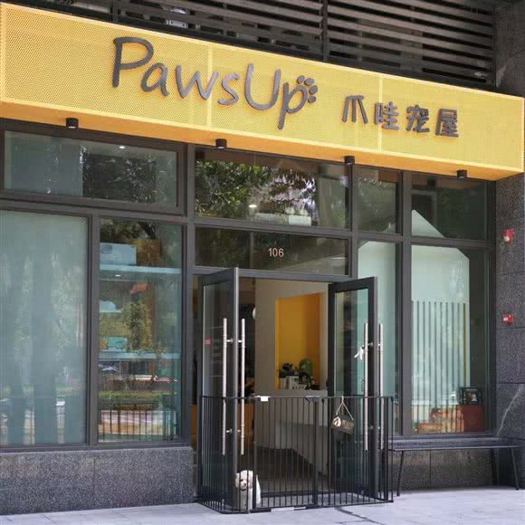 PawsUp印度尼西亚宠屋:深圳市福田区景田附近