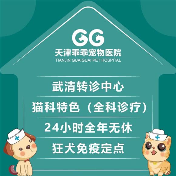 乖乖宠物医院(武清分院?24小时?急重症转诊中心):天津城区武清区武清区附近