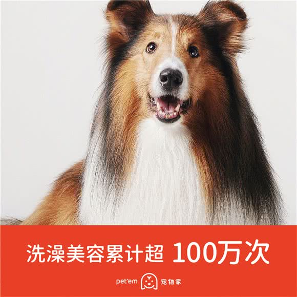 宠物家(新洲店):深圳市福田区新洲/石厦附近
