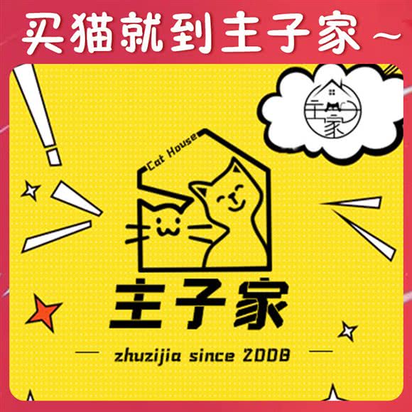 主子家·猫舍(石厦店):深圳市福田区新洲/石厦附近