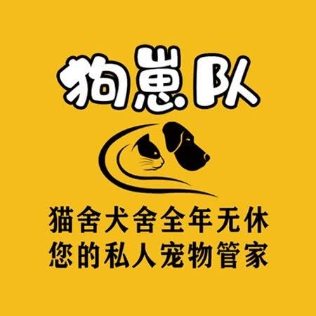 狗崽队?猫舍?犬舍:深圳市福田区八卦岭/园岭附近
