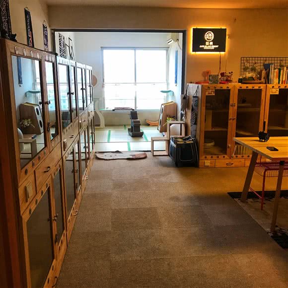 猫屿假日精选猫咪寄养酒店:深圳市福田区岗厦附近