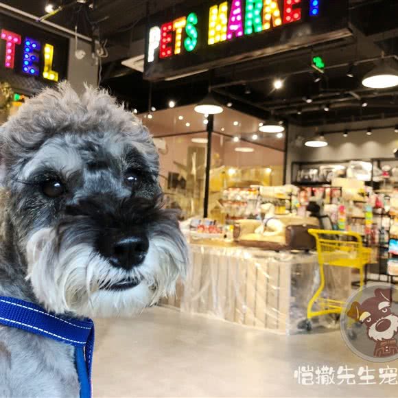 恺撒先生宠物酒店(金域蓝湾店):深圳市福田区沙头附近