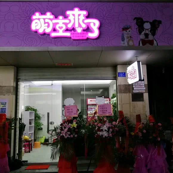 萌主来了:深圳市福田区沙头附近