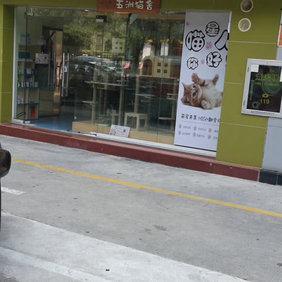 五洲猫舍:深圳市南山区蛇口附近