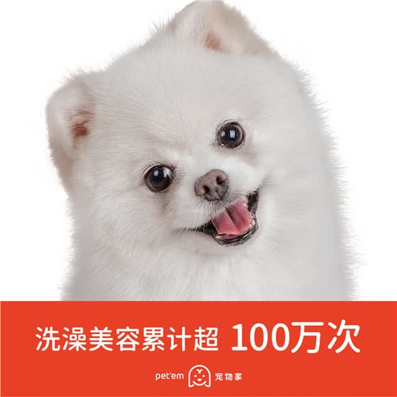 宠物家(后海中心店):深圳市南山区蛇口附近