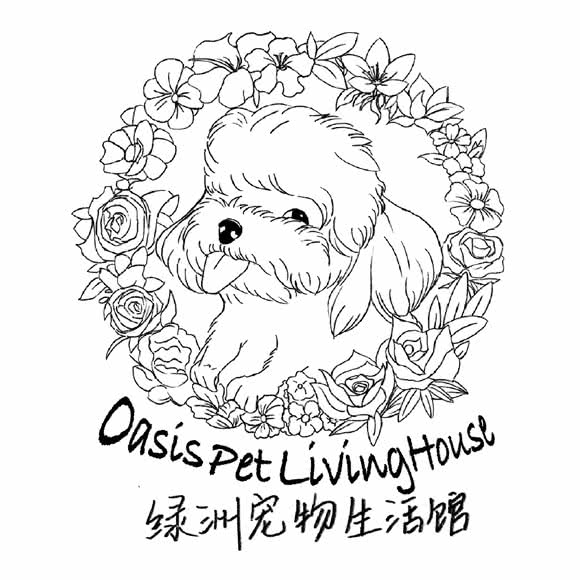 绿洲宠物生活馆:深圳市南山区蛇口附近