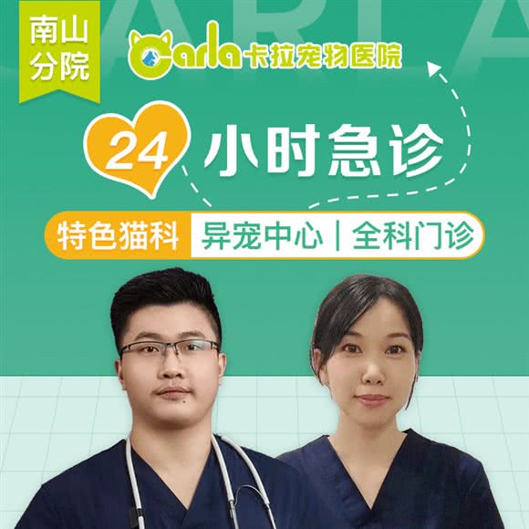 卡拉宠物医院·全科门诊·异宠中心(南山分院):深圳市南山区蛇口附近