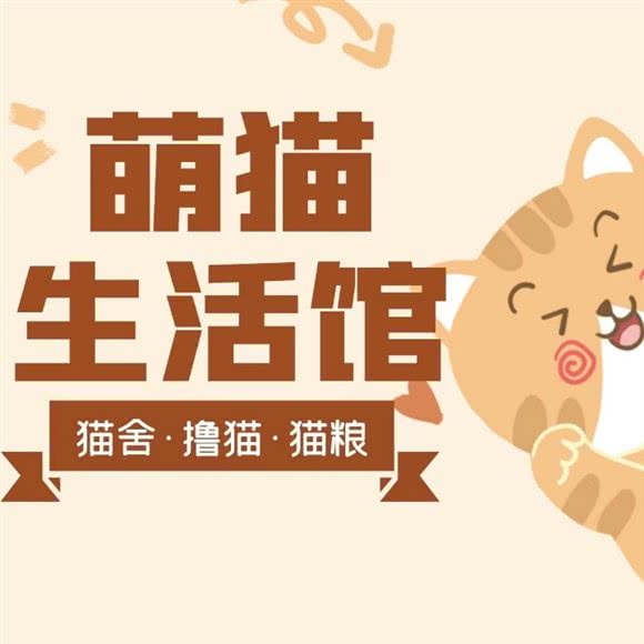 它爱你萌猫生活馆:天津城区武清区武清区附近