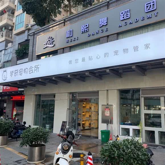梦奇狗狗会所:深圳市南山区南山中心区附近