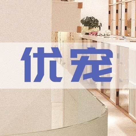 优宠宠物猫狗专卖:深圳市南山区南山中心区附近