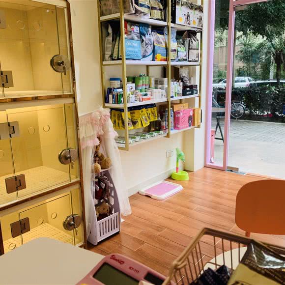 小熊熊宠物:深圳市南山区南油附近