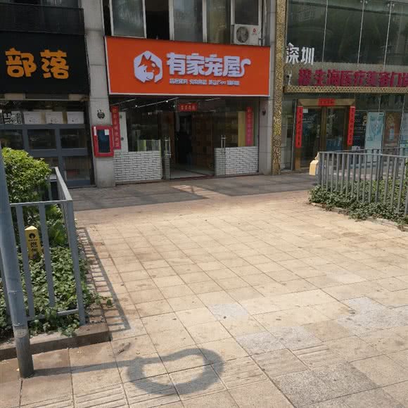 有家宠屋:深圳市南山区南油附近