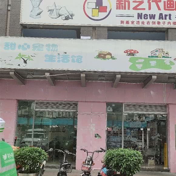 甜心宠物生活馆:深圳市南山区南油附近