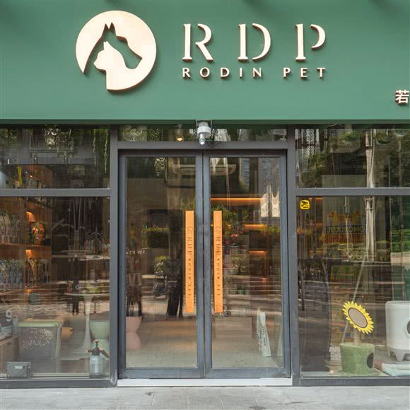 RDP若丁爱宠:深圳市南山区南油附近