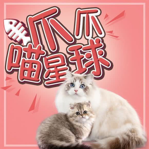 爪爪喵星球·撸猫·猫舍(前海卓越店):深圳市南山区前海附近