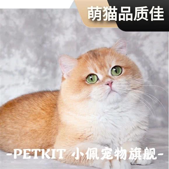 PETKIT小佩宠物(动物园店):深圳市南山区西丽附近