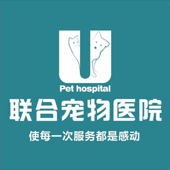 联合宠物医院(桃源分院):深圳市南山区西丽附近