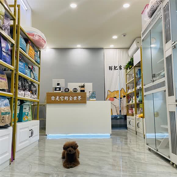 小跟班宠物乐园:深圳市南山区南头附近