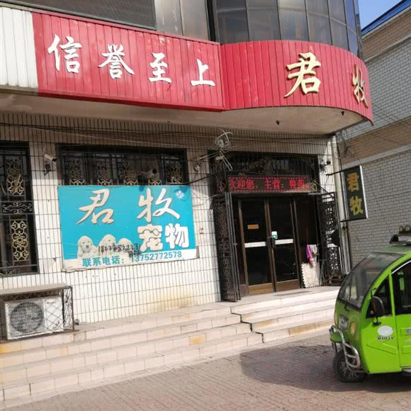 君牧宠物:天津城区武清区武清区附近