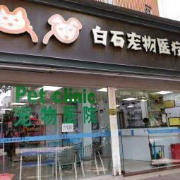 白石宠物医院:深圳市南山区白石洲附近