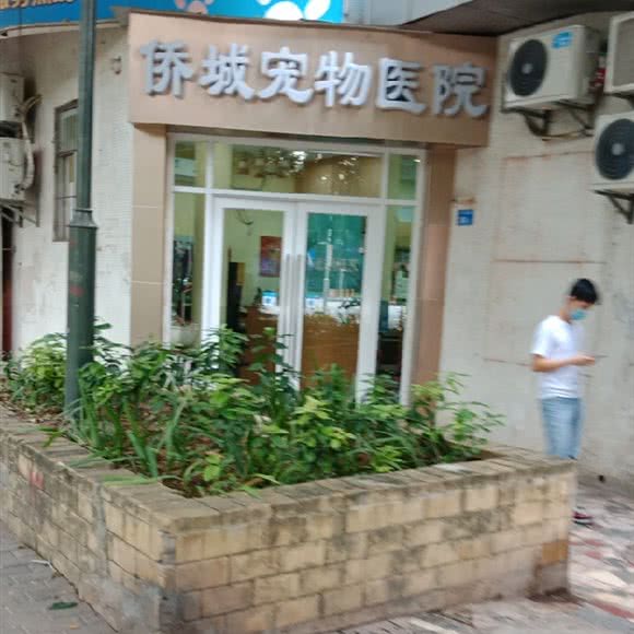 侨城宠物医院:深圳市南山区白石洲附近