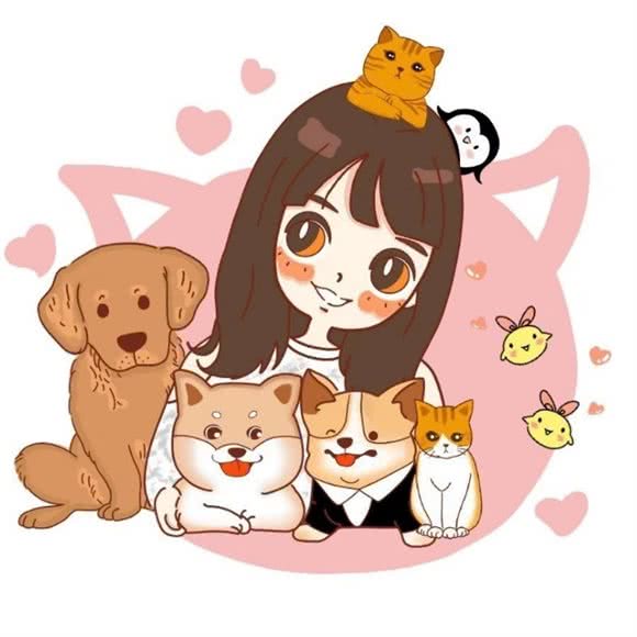 PET PET CAKE宠物蛋糕烘焙(宝安壹方城店):深圳市宝安区宝安中心区附近