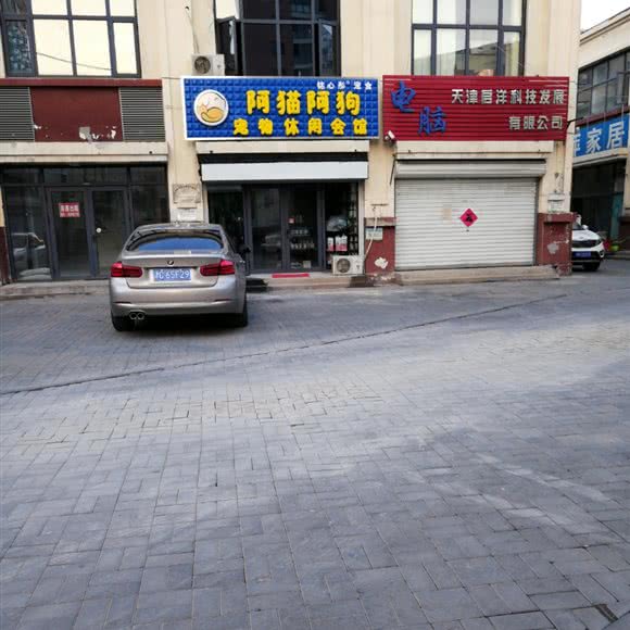 阿猫阿狗宠物休闲会馆:天津城区武清区武清区附近