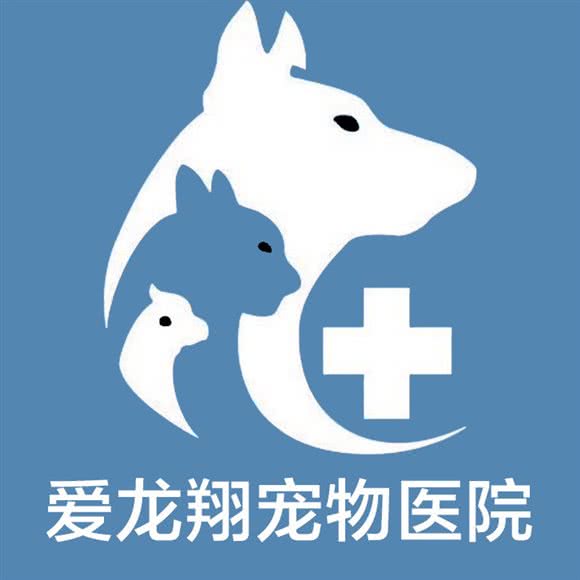爱龙翔宠物医院:深圳市宝安区西乡附近
