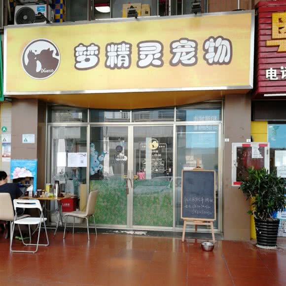 梦精灵宠物:深圳市宝安区新安附近