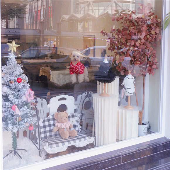 叮噹宠物 (新安分店):深圳市宝安区新安附近