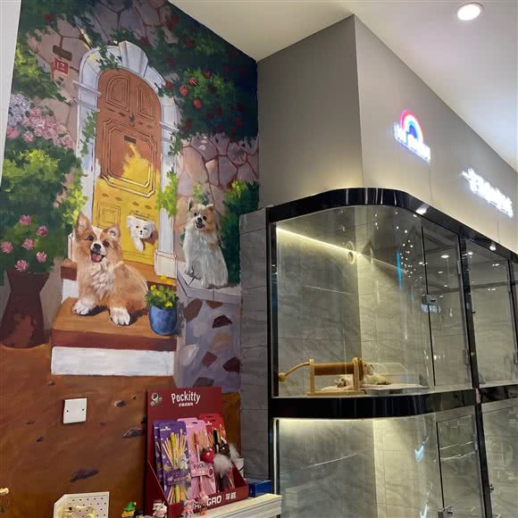 喵不可言猫馆(宝安中洲店):深圳市宝安区新安附近
