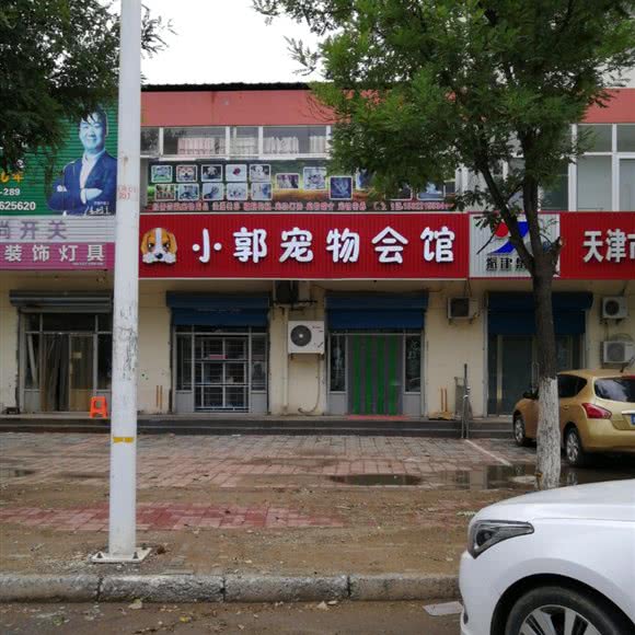 小郭宠物会馆:天津城区武清区武清区附近