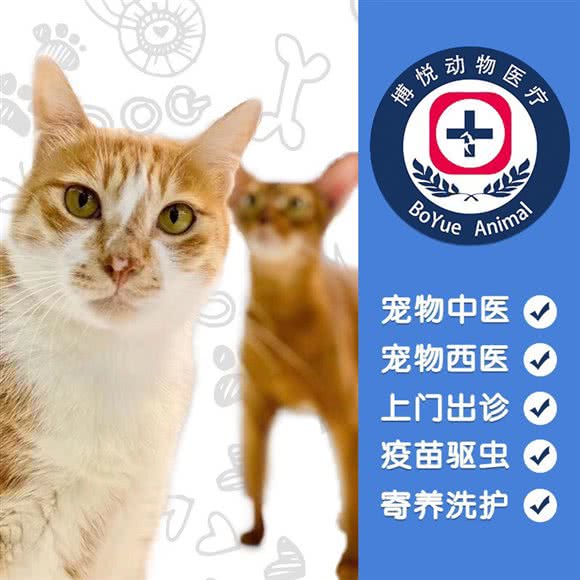 博悦宠物医院·博悦爱猫馆:深圳市宝安区新安附近