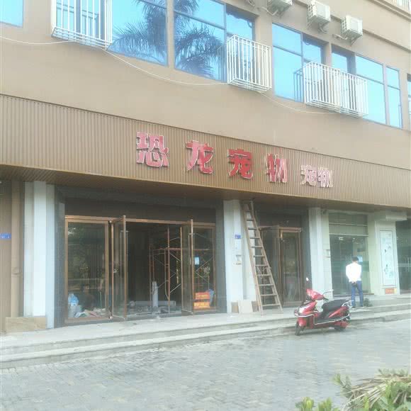 恐龙宠物宠物:深圳市宝安区福永附近