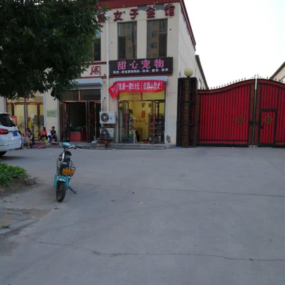 甜心宠物:天津城区武清区武清区附近