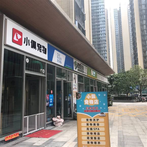 小佩宠物(万科星城店):深圳市宝安区沙井附近