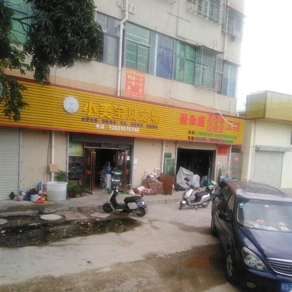 小美宝贝宠物:深圳市宝安区沙井附近