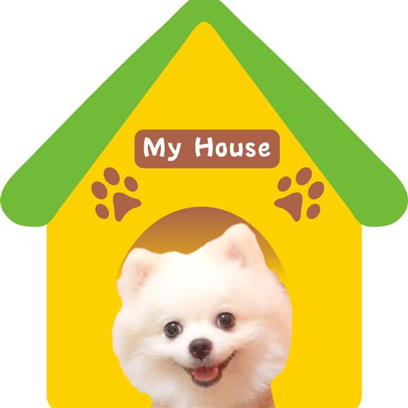 baby宠物之家:深圳市宝安区沙井附近