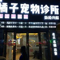 索菲宠物诊所:深圳市宝安区沙井附近