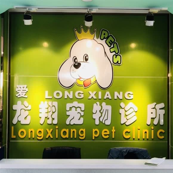 龙翔宠物诊所(新桥店):深圳市宝安区沙井附近