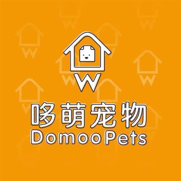 哆萌宠物:深圳市宝安区宝安国际机场附近