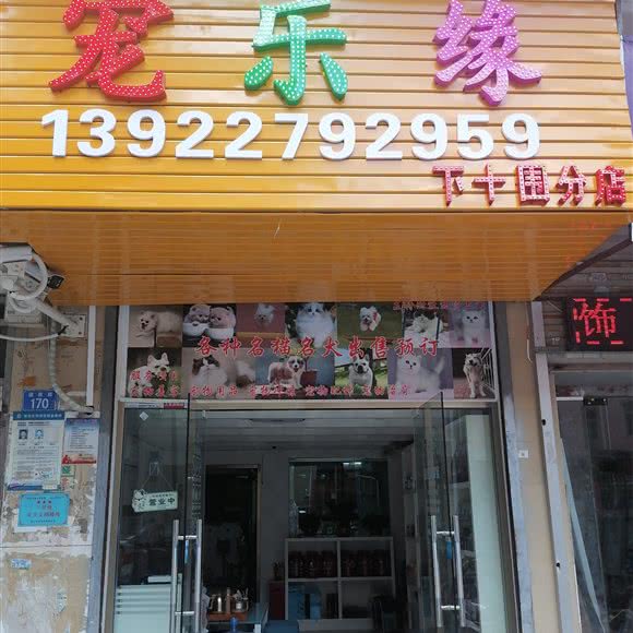 宠乐缘(宠乐缘下十围分店):深圳市宝安区宝安国际机场附近