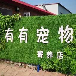 有有宠物寄养店:天津城区武清区武清区附近