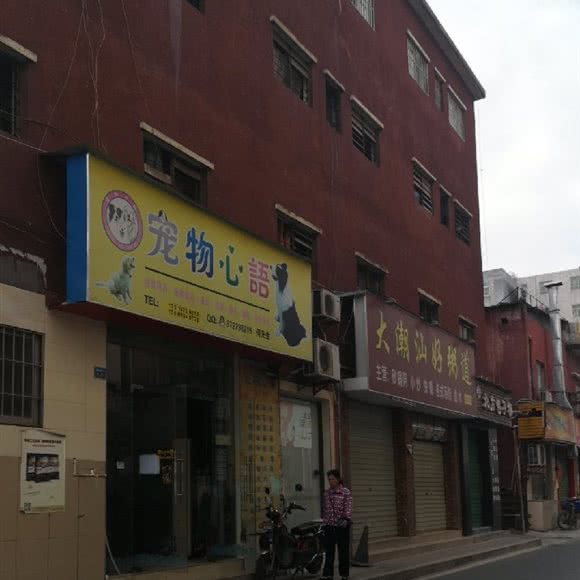 宠物心语:深圳市宝安区石岩附近