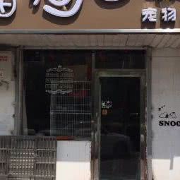 猫狗当家宠物店:天津城区武清区武清区附近
